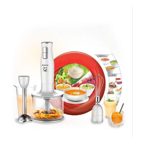 Bras Mixeur ROBUSTE 300 W MP3EN1