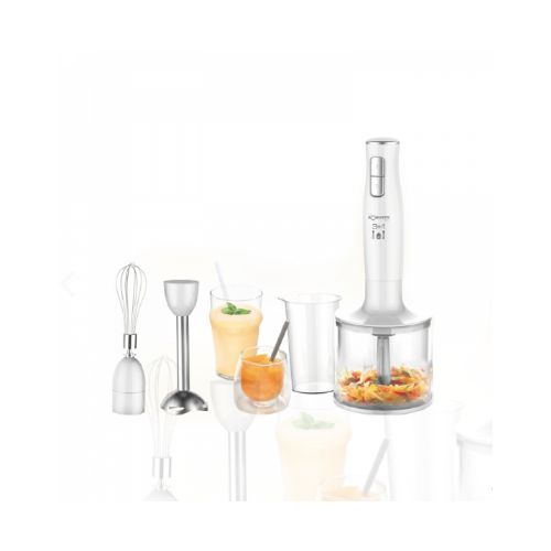Bras Mixeur ROBUSTE 300 W MP3EN1