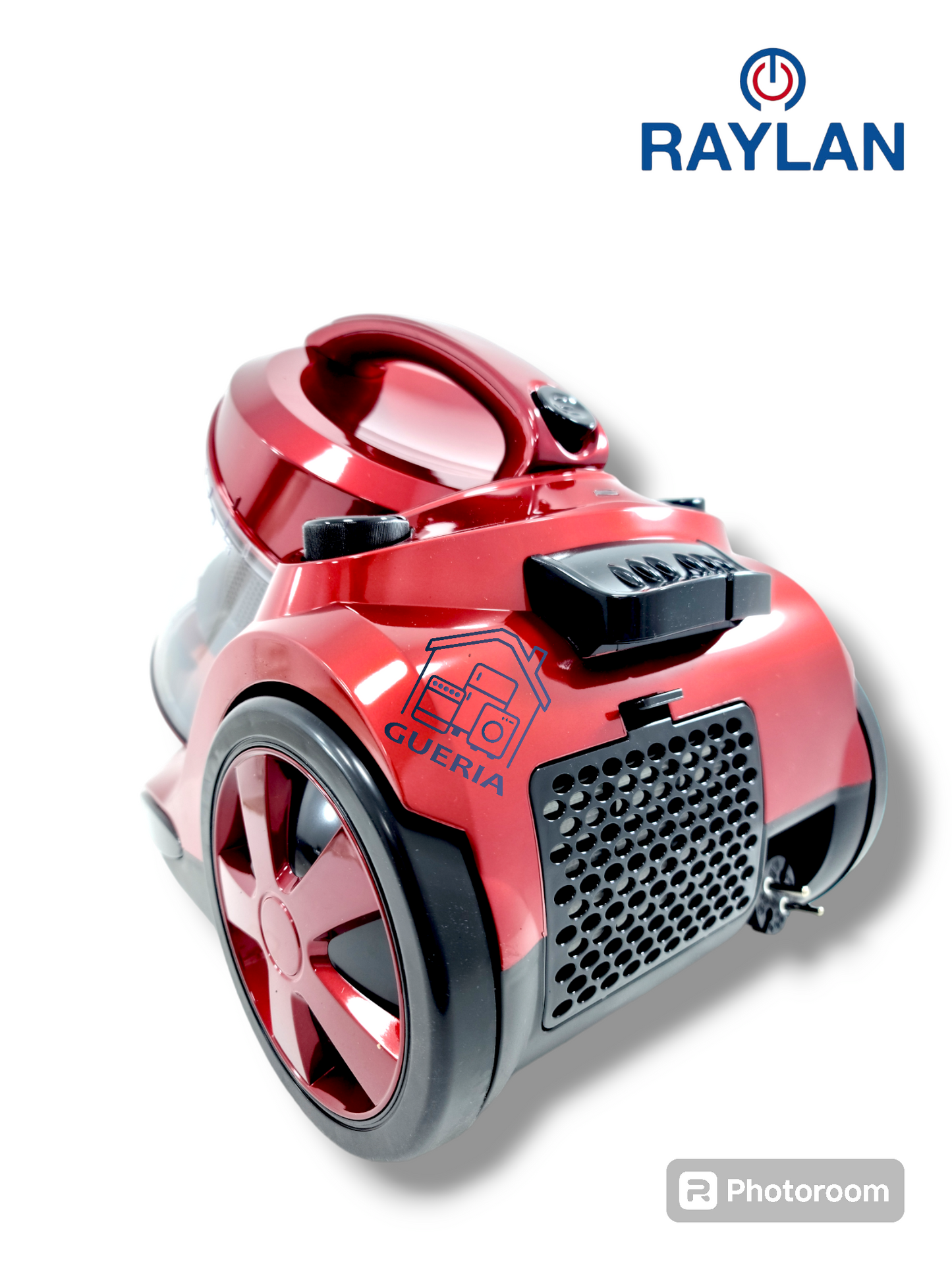 Aspirateur RAYLAN cyclonique A1600 W (MSA)
